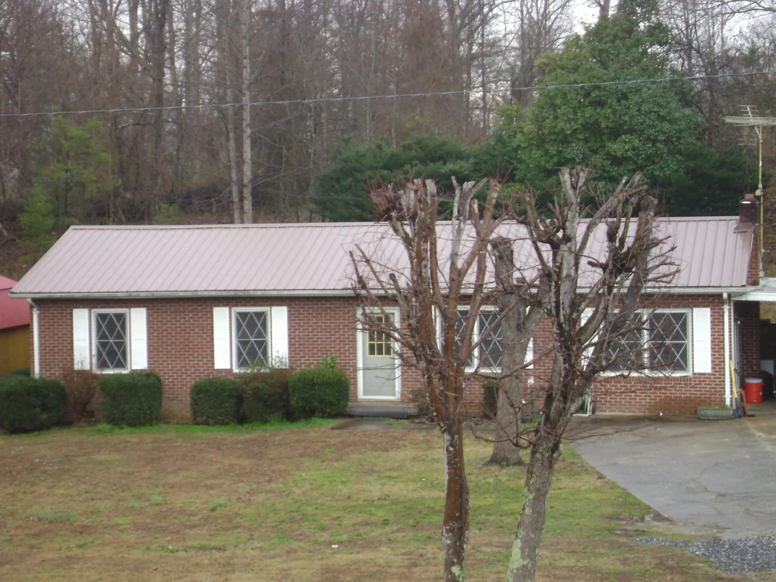 Mauve metal roof on a brick ranch home behind bare trees in Saint James City