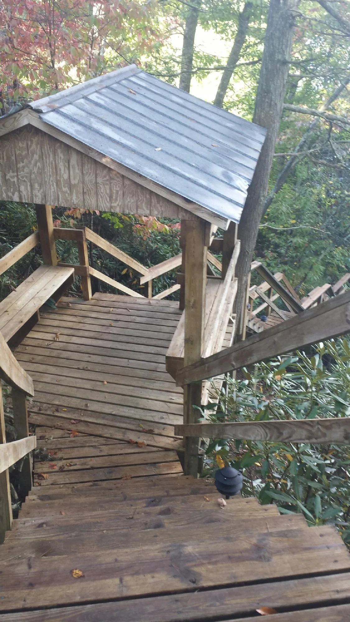 Metal roofed shelter over wooden steps on a wooded walkway — Skylight Repair & Installation work by our crew in Saint James City