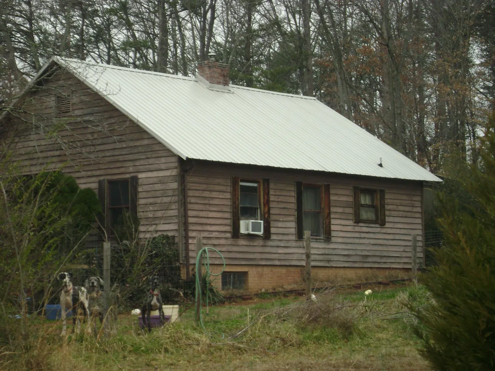 White metal roof on an old wood sided farmhouse, from a Asphalt Shingle Roof Repair job in Saint James City